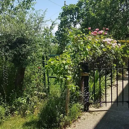 Casa Caterina Gasthof